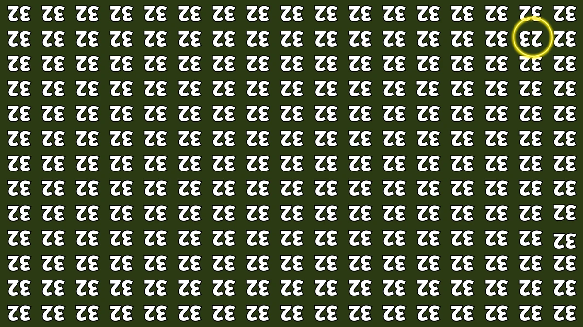 Optical Illusion IQ Test: Are You A Genius? Within 7 Seconds Spot The Inverted 23 among Inverted 32s