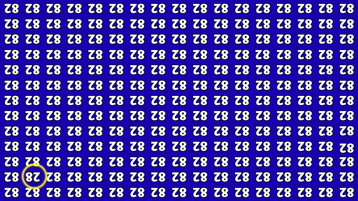 Optical Illusion IQ Test: Are You A Genius? Within 8 Seconds Spot The Inverted 28 among Inverted 82s