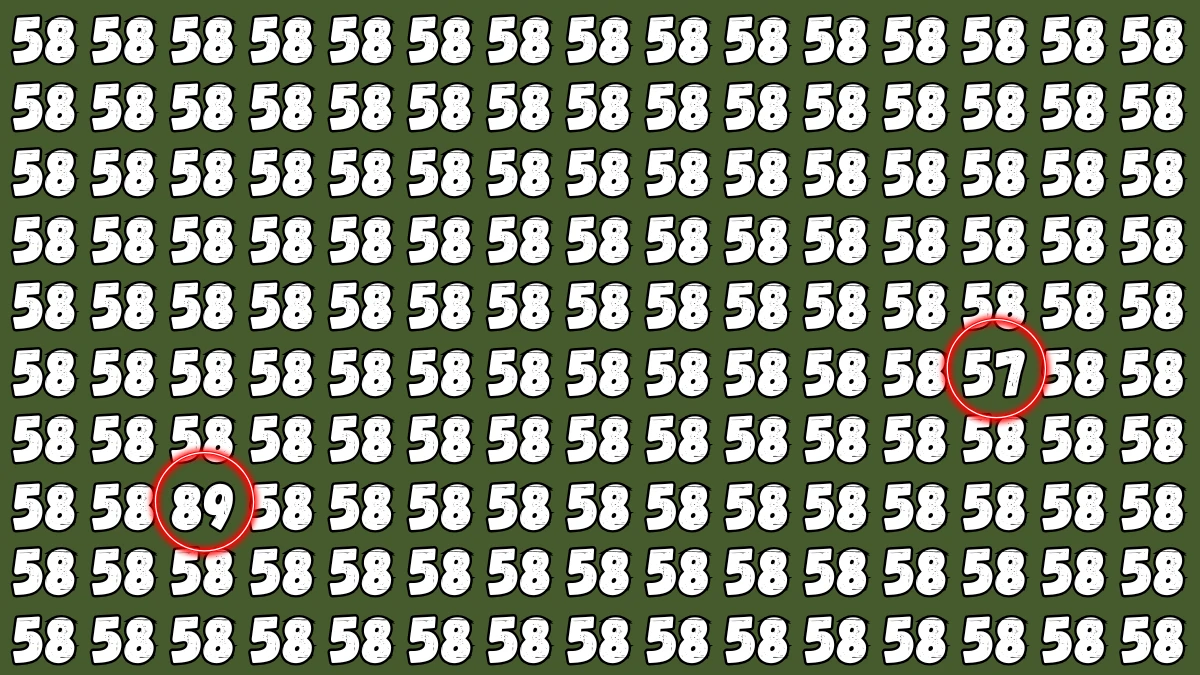 Optical Illusion Observation Test: Only 1% Can Find the Hidden Odd Numbers 57 and 89 in This Internet-Breaking Optical Test!