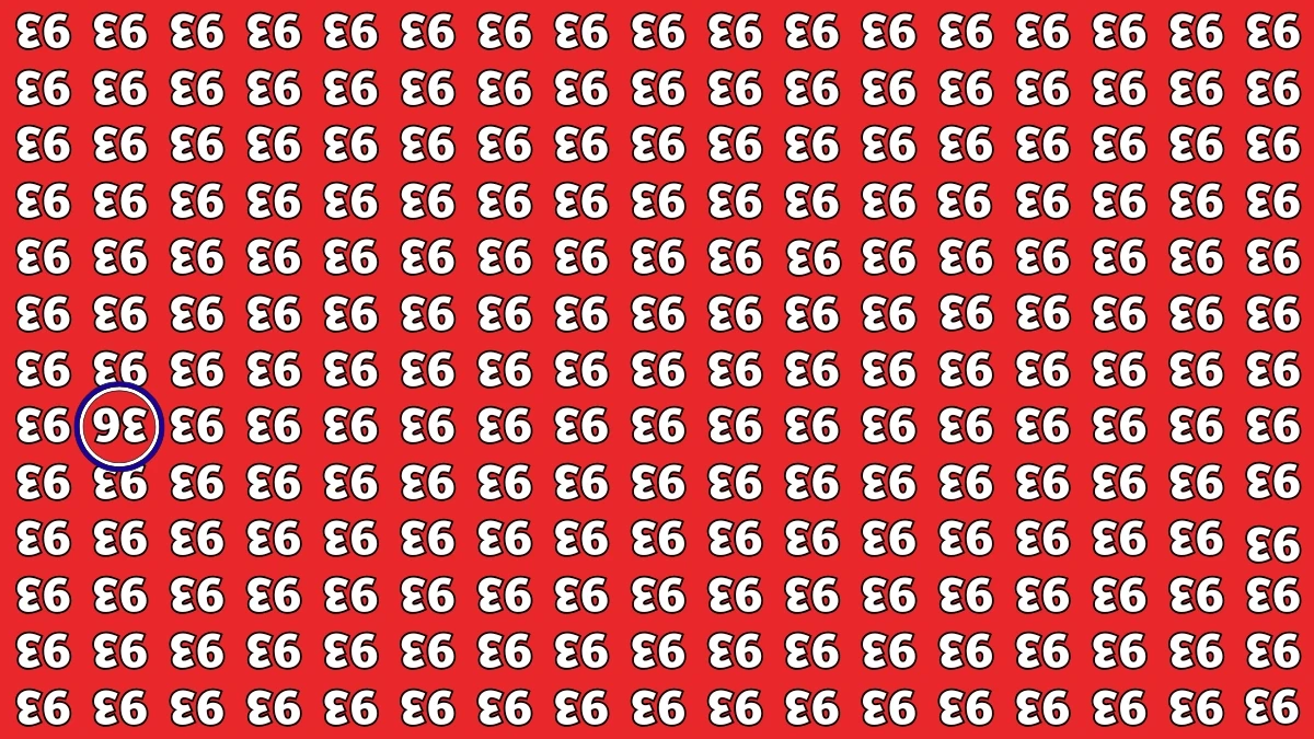 Optical Illusion: Only People with Eagle Eyes Can Spot the Inverted 36 among Inverted 93