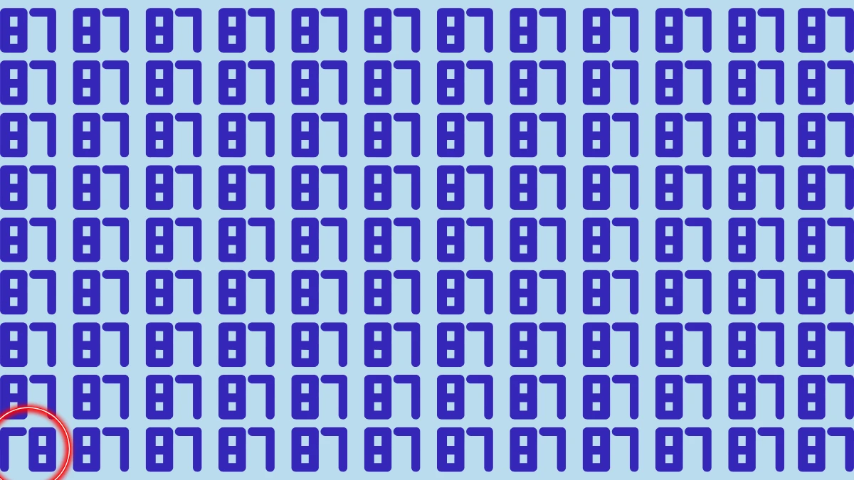 Optical Illusion: Only People with Eagle Eyes Can Spot the Inverted 87 among 87