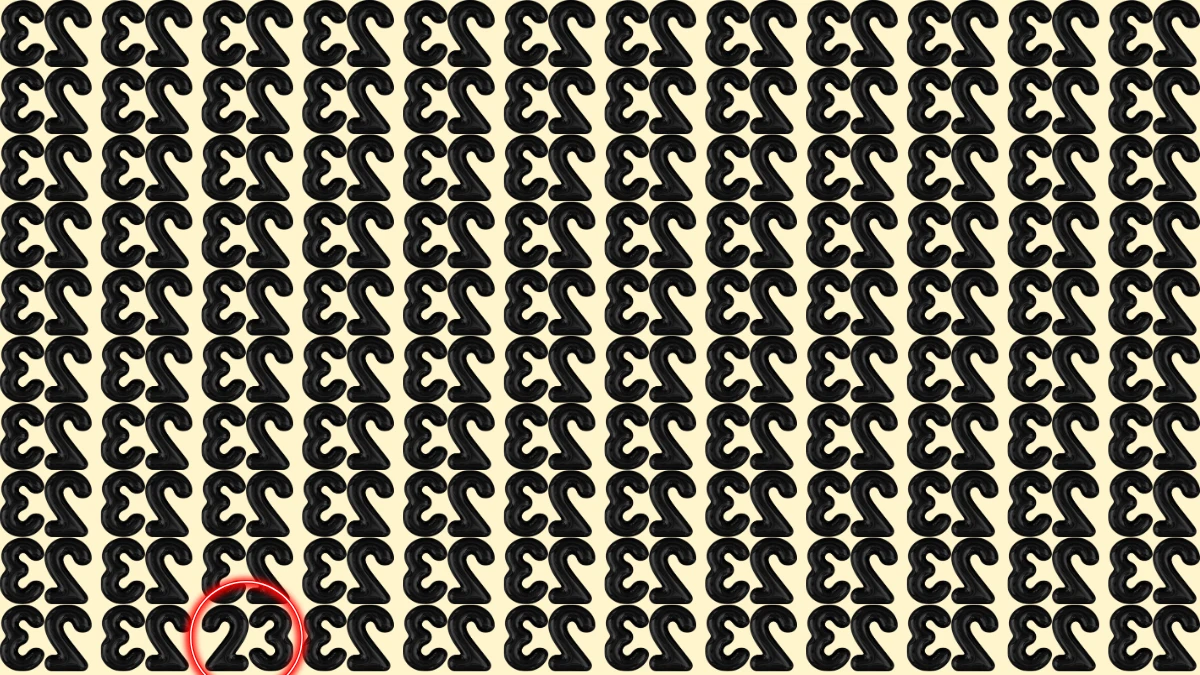 Optical Illusion: Only People with Eagle Eyes Can Spot the Number 23 among Inverted 23