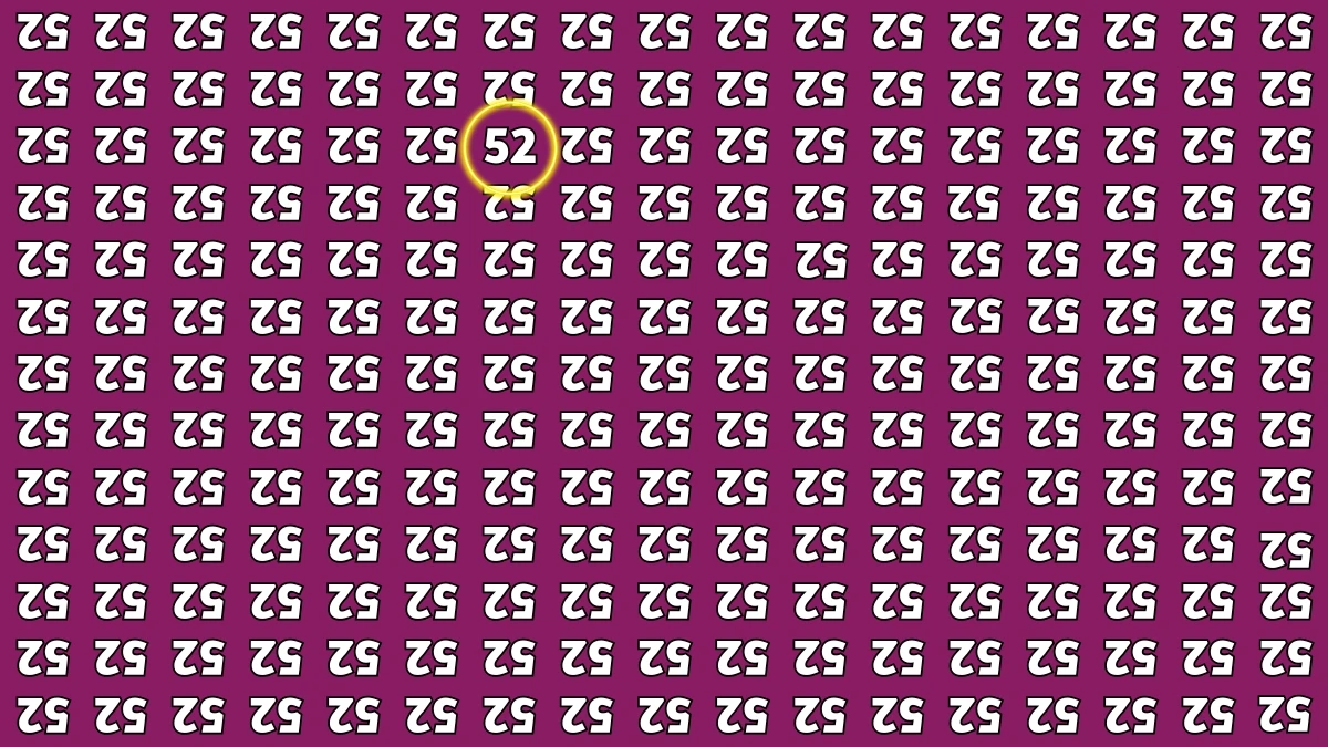 Optical Illusion: Only People with Eagle Eyes Can Spot the Number 52 among Inverted 52