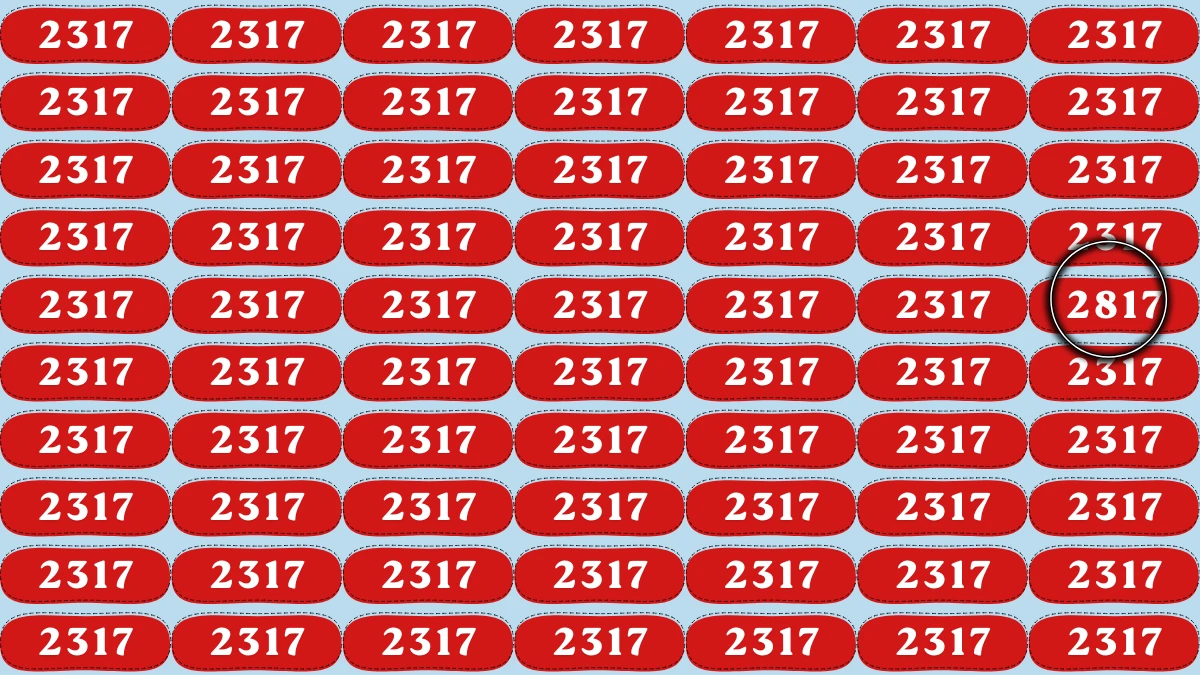 Optical Illusion Puzzle IQ Test: Within 6 Seconds Spot The Number 2817 among 2317