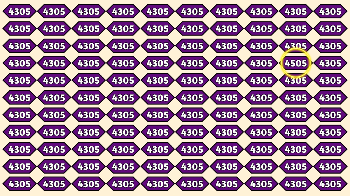 Optical Illusion Puzzle IQ Test: Within 7 Seconds Spot The Number 4505 among 4503