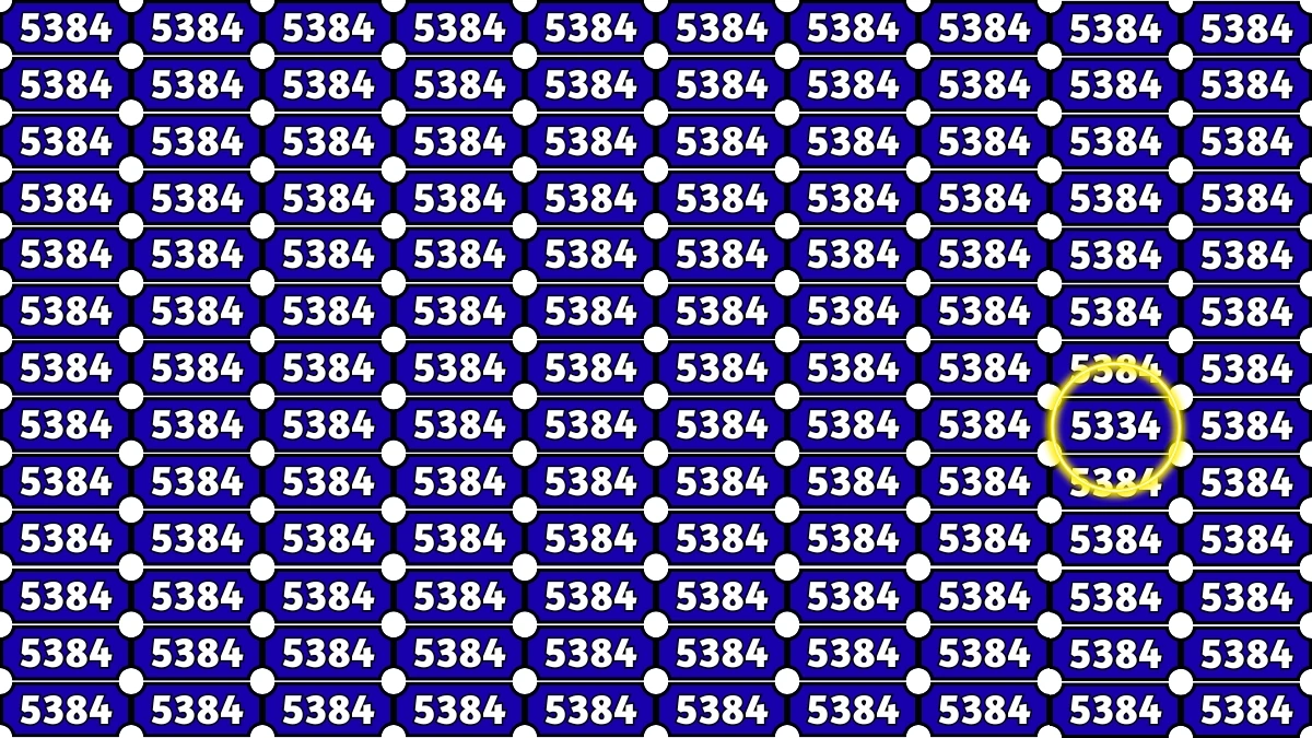 Optical Illusion Puzzle IQ Test: Within 8 Seconds Spot The Number 5334 among 5384s