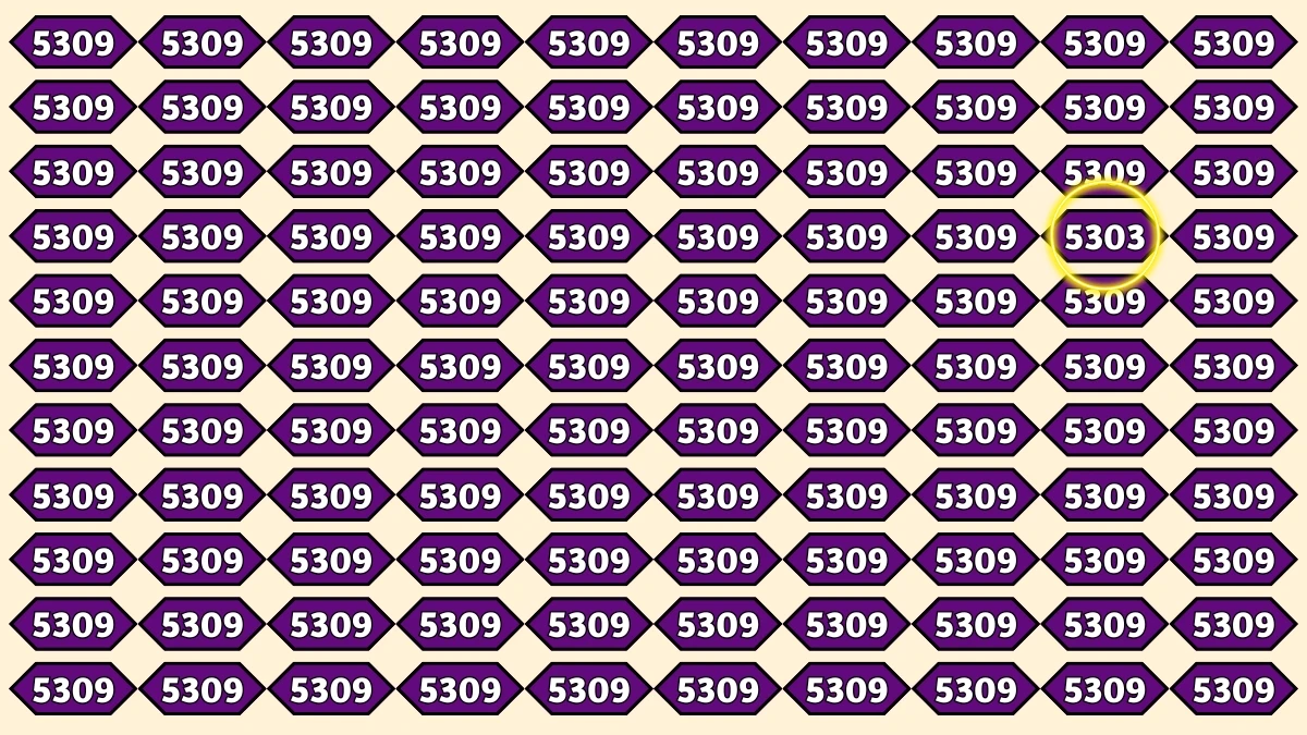 Optical Illusion Puzzle IQ Test: Within 9 Seconds Spot The Number 5303 among 5309