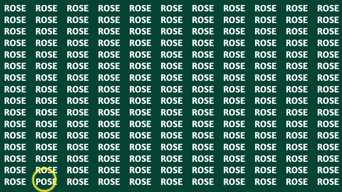 Optical Illusion Visual Test: Within 5 Seconds Spot The Word POSE among ROSE