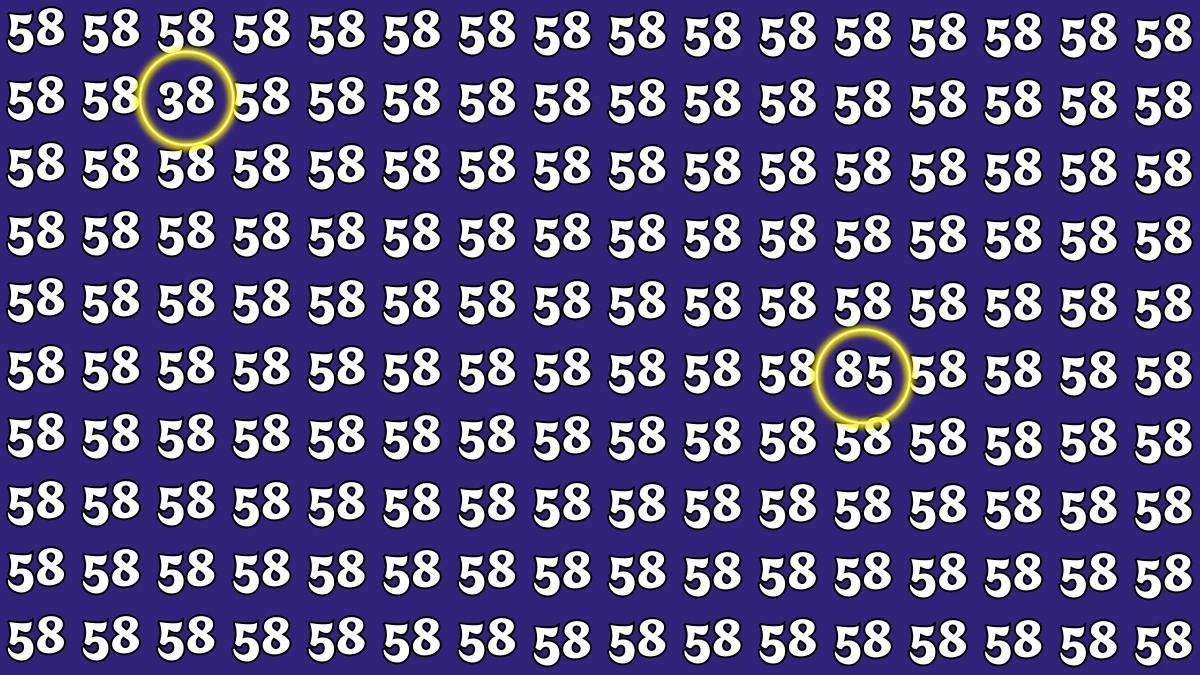 Optical Illusion: Within 5 Seconds Spot The Number 38 and 85 among 58s