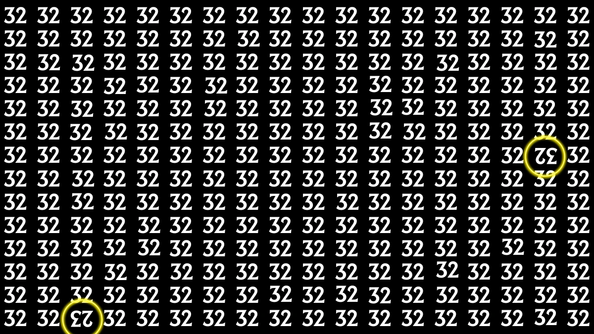 Optical Illusion: Within 6 Seconds Spot The Inverted 32 and 23 among 32s