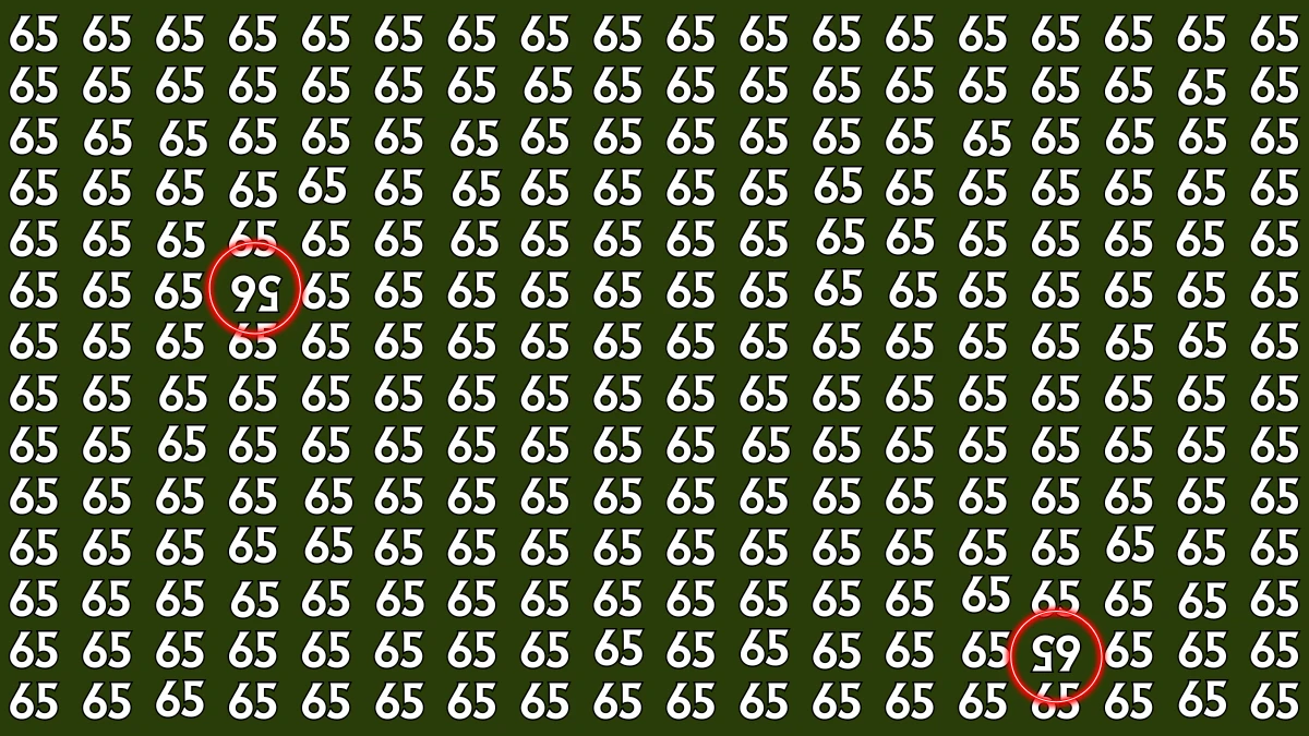 Optical Illusion: Within 6 Seconds Spot The Inverted 65 and 56 among 65