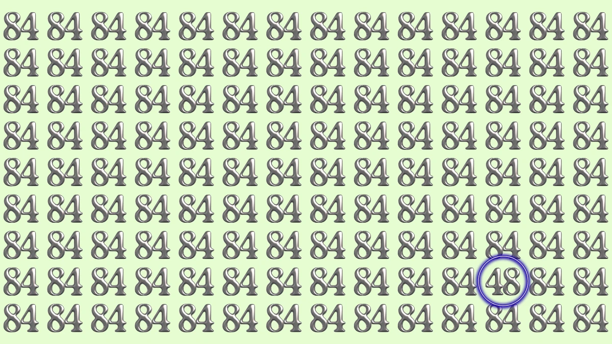 Optical Illusion: Within 6 Seconds Spot The Number 48 among 84
