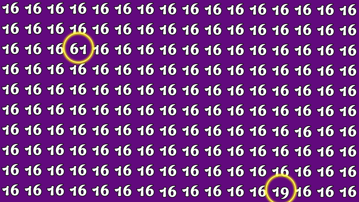Optical Illusion: Within 6 Seconds Spot The Number 61 and 19 among 16s