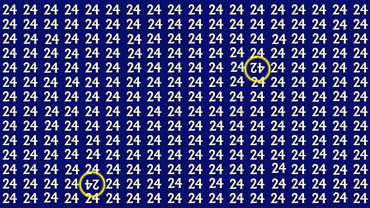 Optical Illusion: Within 7 Seconds Spot The Inverted 24 and 42 among 24s