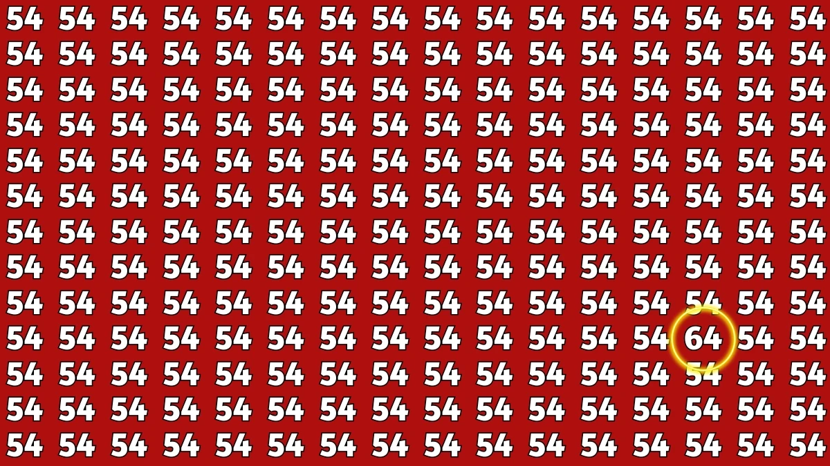 Observation Find it Out: Within 7 Seconds Spot The Number 64 among 54