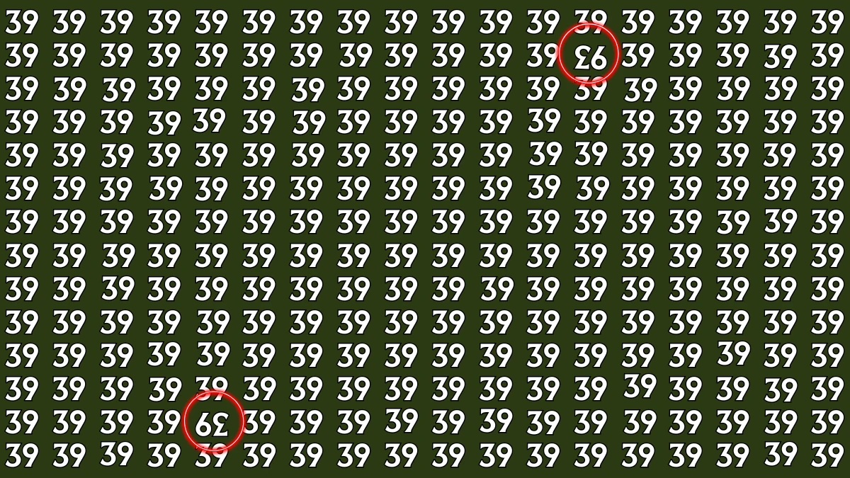 Optical Illusion: Within 9 Seconds Spot The Inverted 93 and 39 among 39s