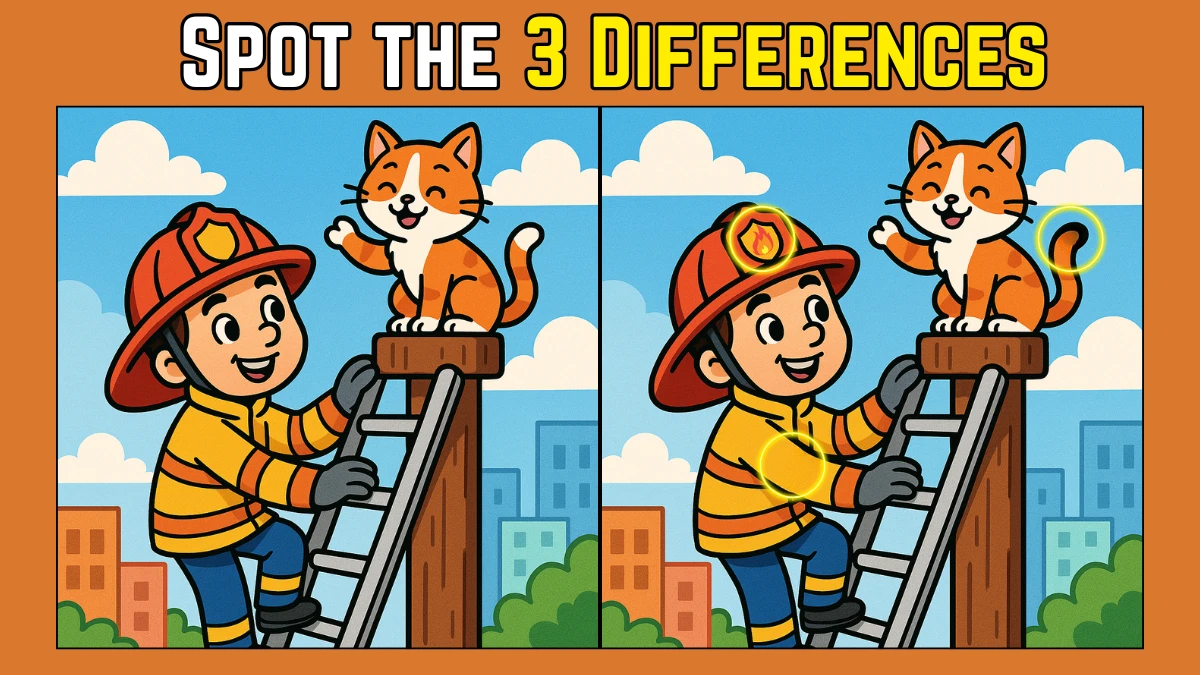Spot 3 Differences in Firefighter Saving a Cat - Can You Find Them in 12 Seconds