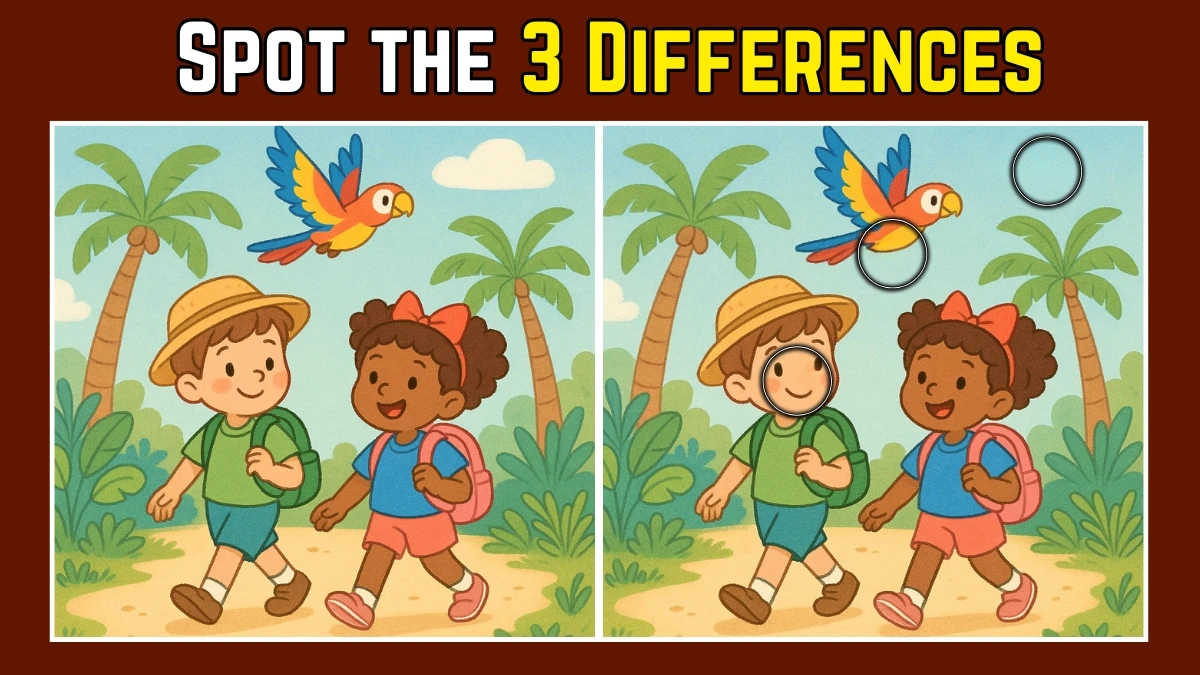 Spot the 3 Difference: Only 1 in 10 people can find all the differences in 12 Seconds