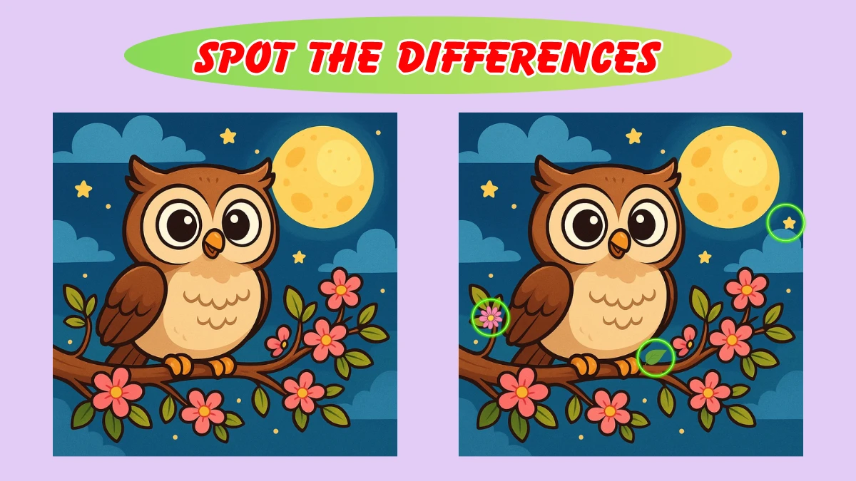 Spot the 3 Difference: Only 1 in 10 people can find all the differences in 12 Seconds