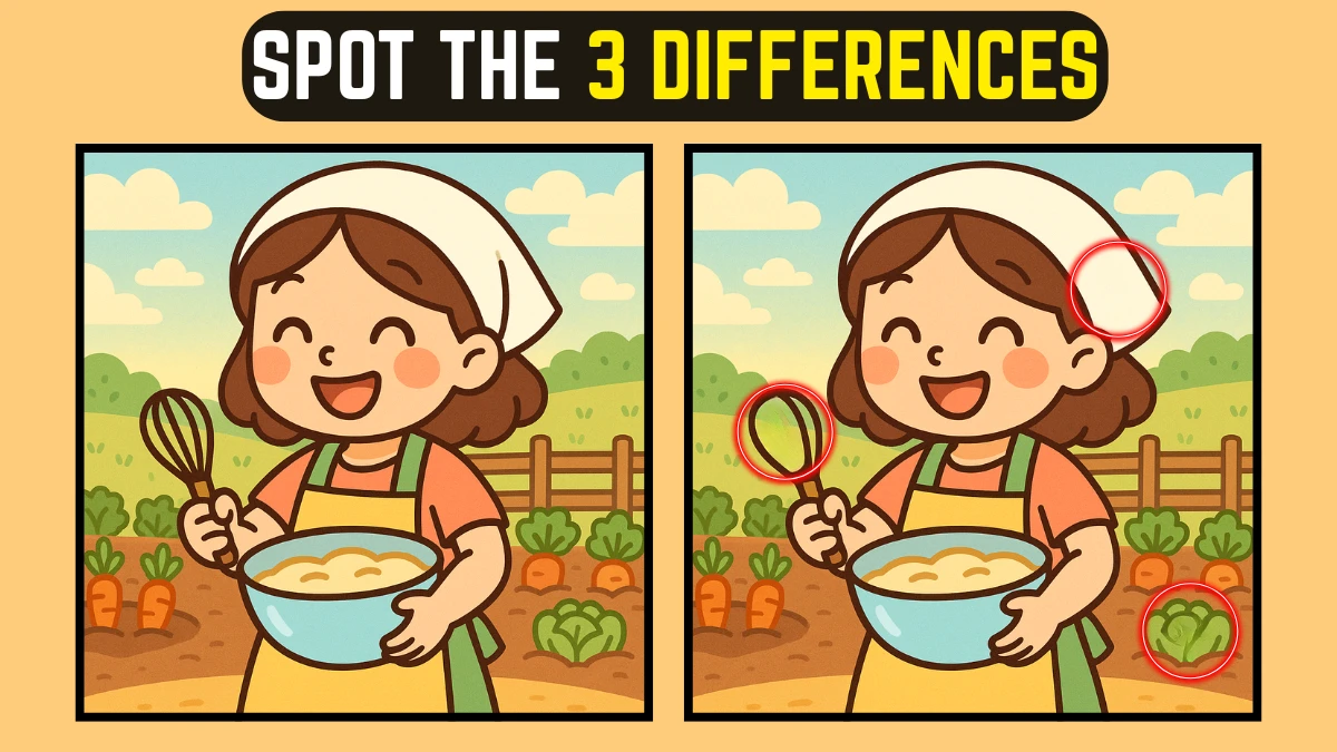 Spot the 3 Differences in Cooking Girl Pictures – Beat the 15-Second Challenge!