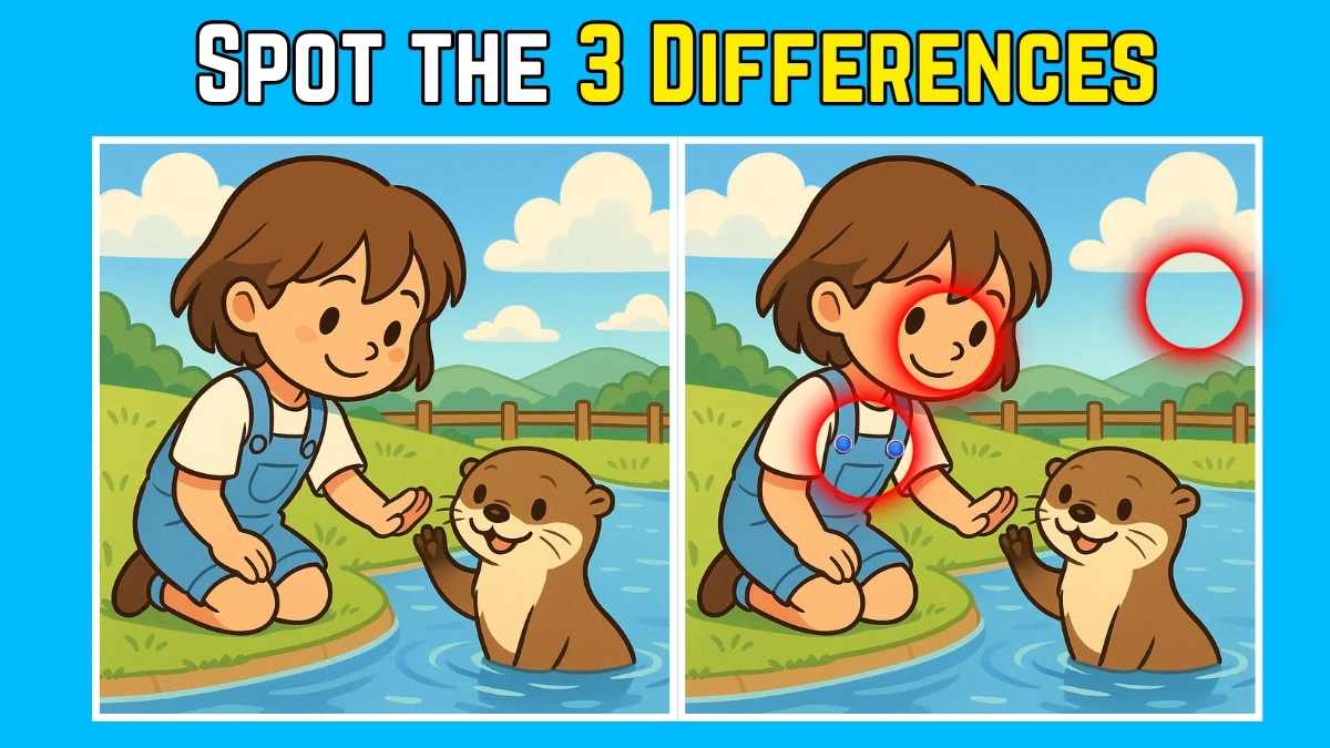 Spot the Difference: Within 9 Seconds Spot The 3 Differences in this Girl Playing with Seal Image