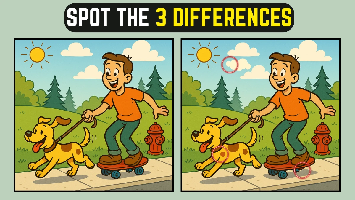 Spot the Difference: Can you spot 3 differences between the two images in 8 seconds?