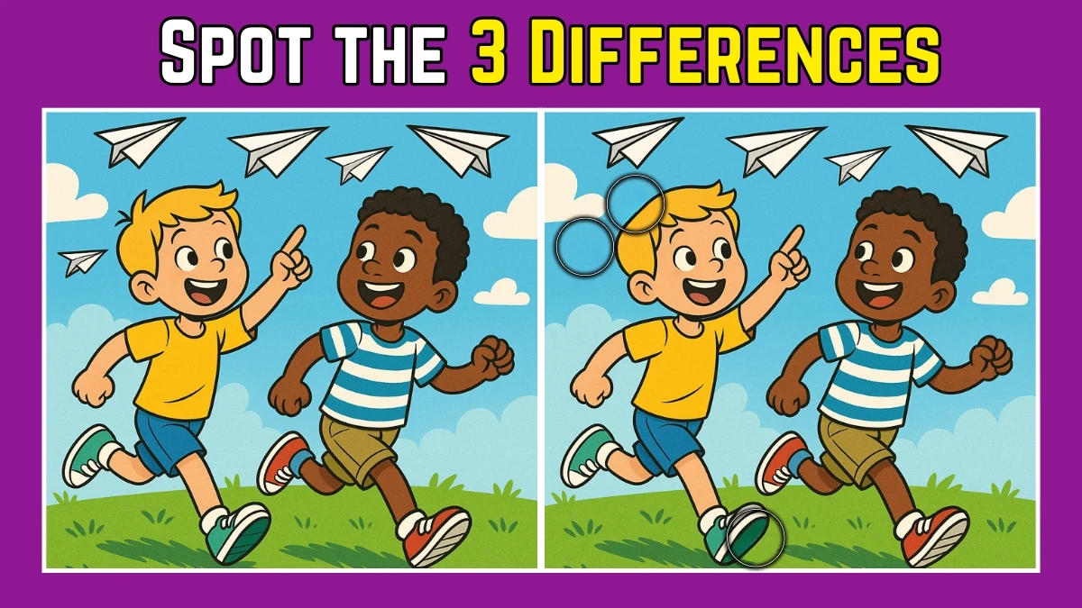 Spot The Difference: Can you spot 3 differences in 9 seconds?