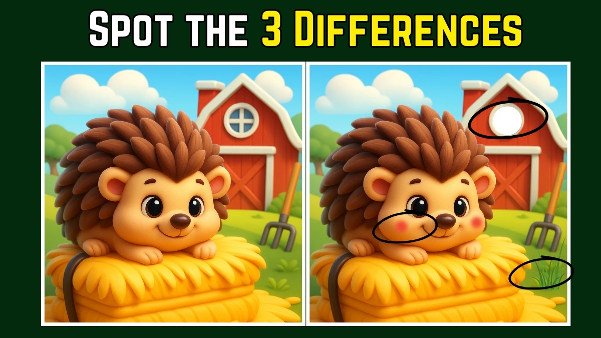 Spot the Difference: Only 5 in 10 people can find the 3 differences in this hedgehog Image in 10 Seconds