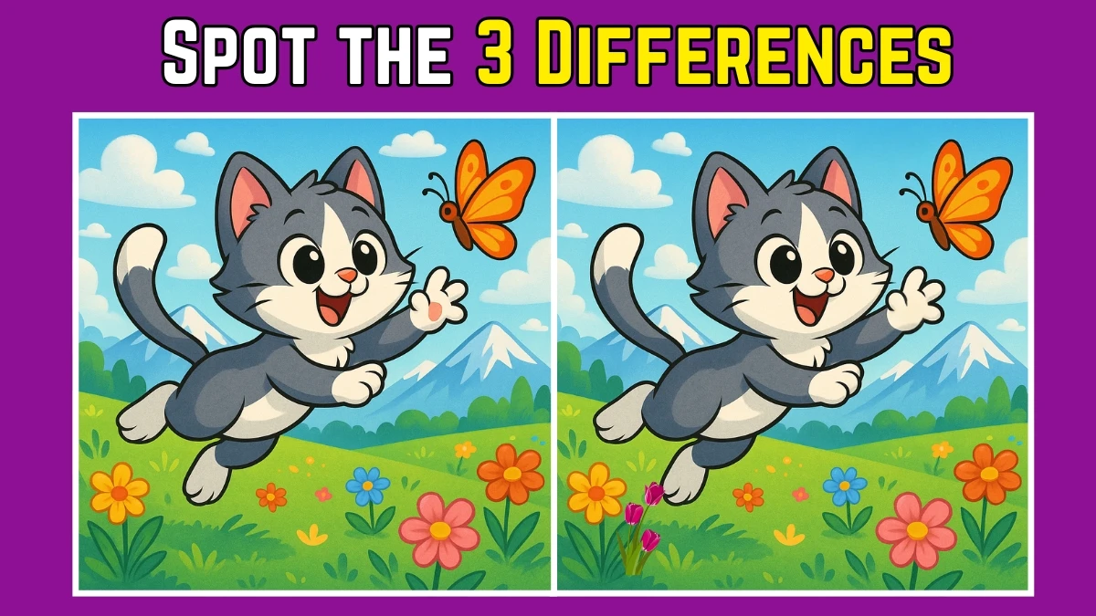 Spot the Difference: Only a real Sherlock Holmes Can Spot the 3 Differences in this Image in 8 Secs