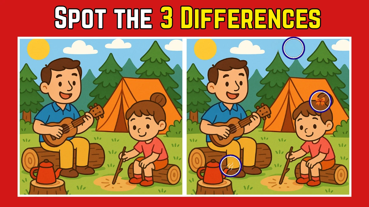 Spot the Difference Picture Puzzle IQ Test: Can you Spot the 3 Differences in this camping Image in 10 Secs