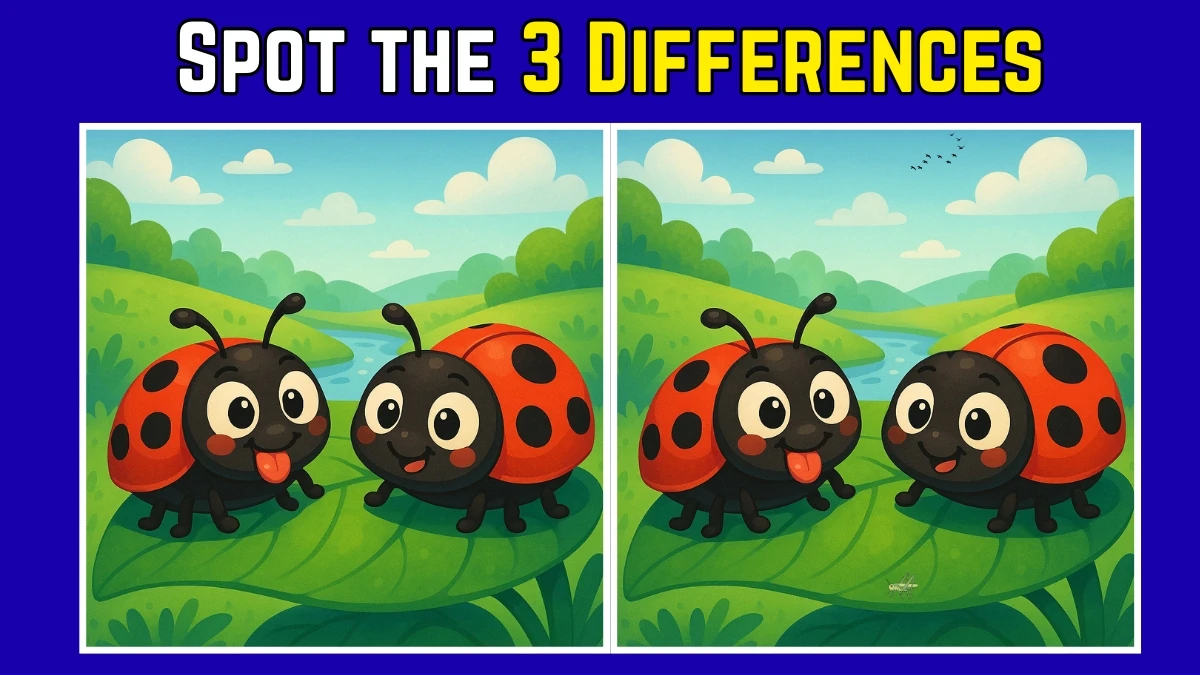 Spot the Difference: Within 7 Seconds Spot The 3 Differences in this Ladybug Image