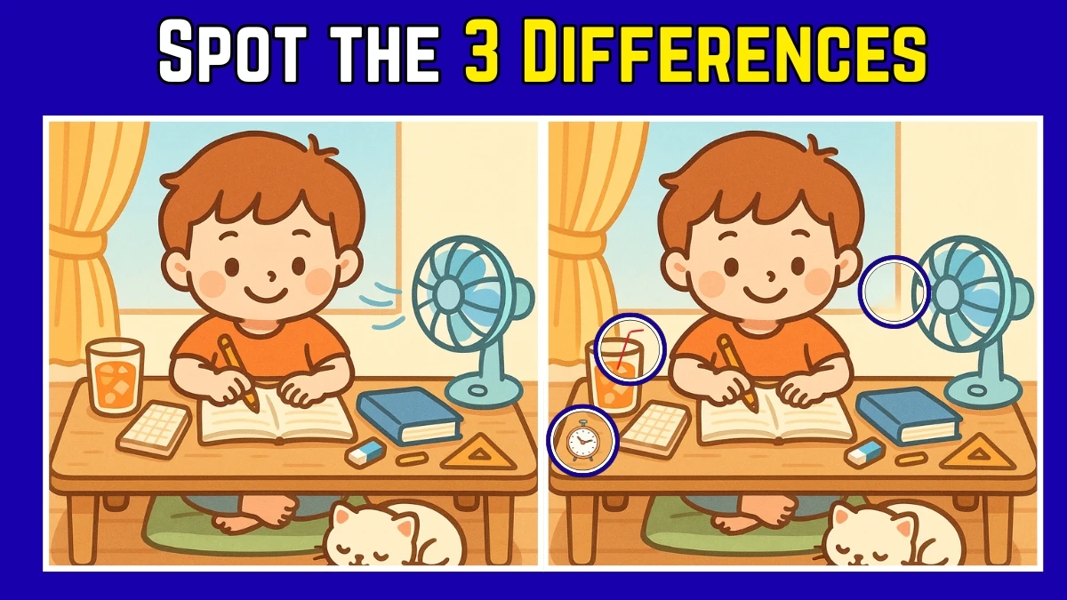 Spot the Difference: Within 8 Seconds Spot The 3 Differences in this Boy Image