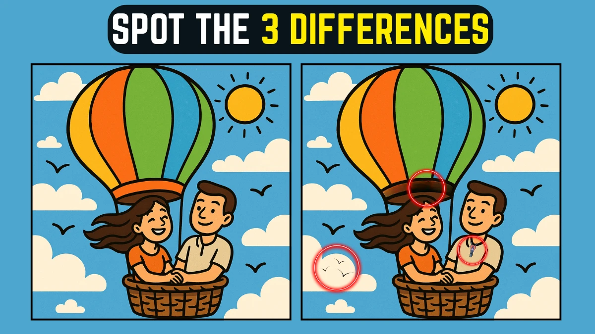 Spot the Difference: Within 8 Seconds Spot The 3 Differences in this Couple Flying in Air Balloon Image