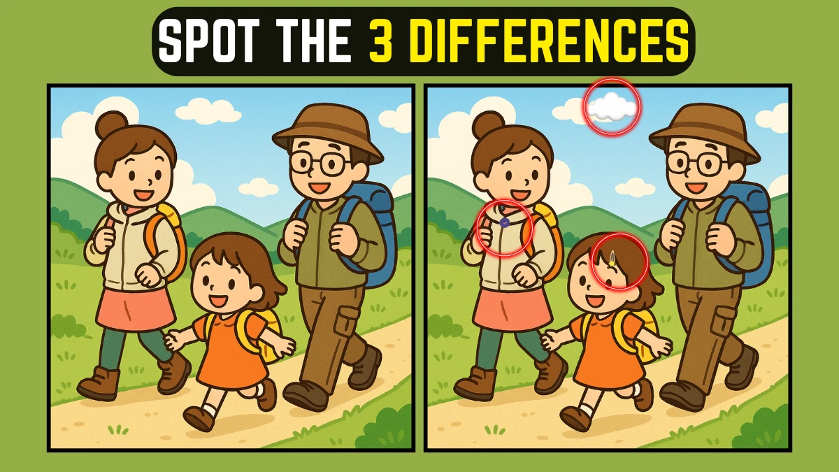 Spot the Difference: Within 8 Seconds Spot The 3 Differences in this Family Vacation Image
