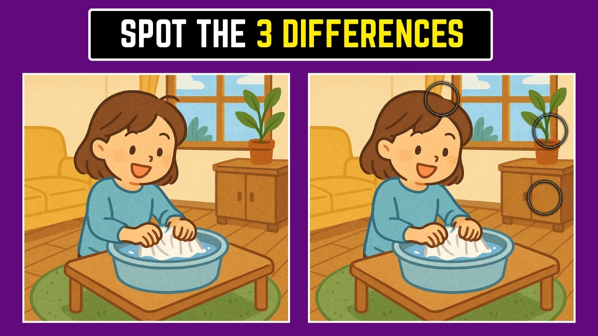 Spot the Difference: Within 8 Seconds Spot The 3 Differences in this Girl Washing Clothes Image