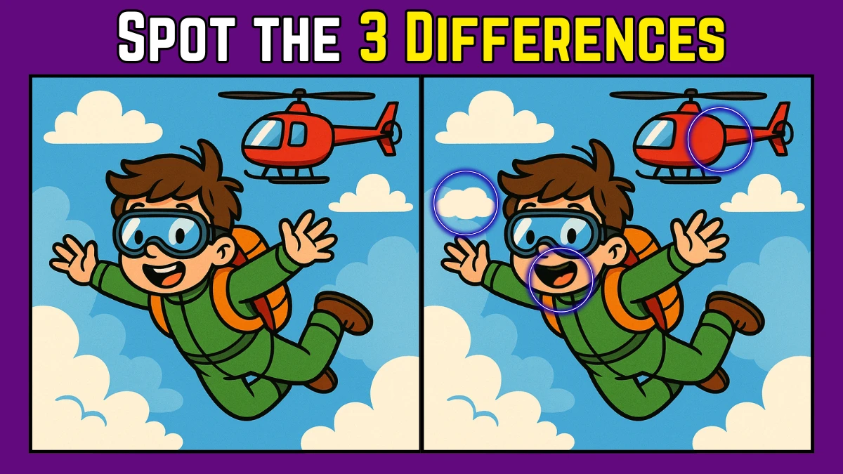 Spot the Difference: Within 8 Seconds Spot The 3 Differences in this Skydiver Image