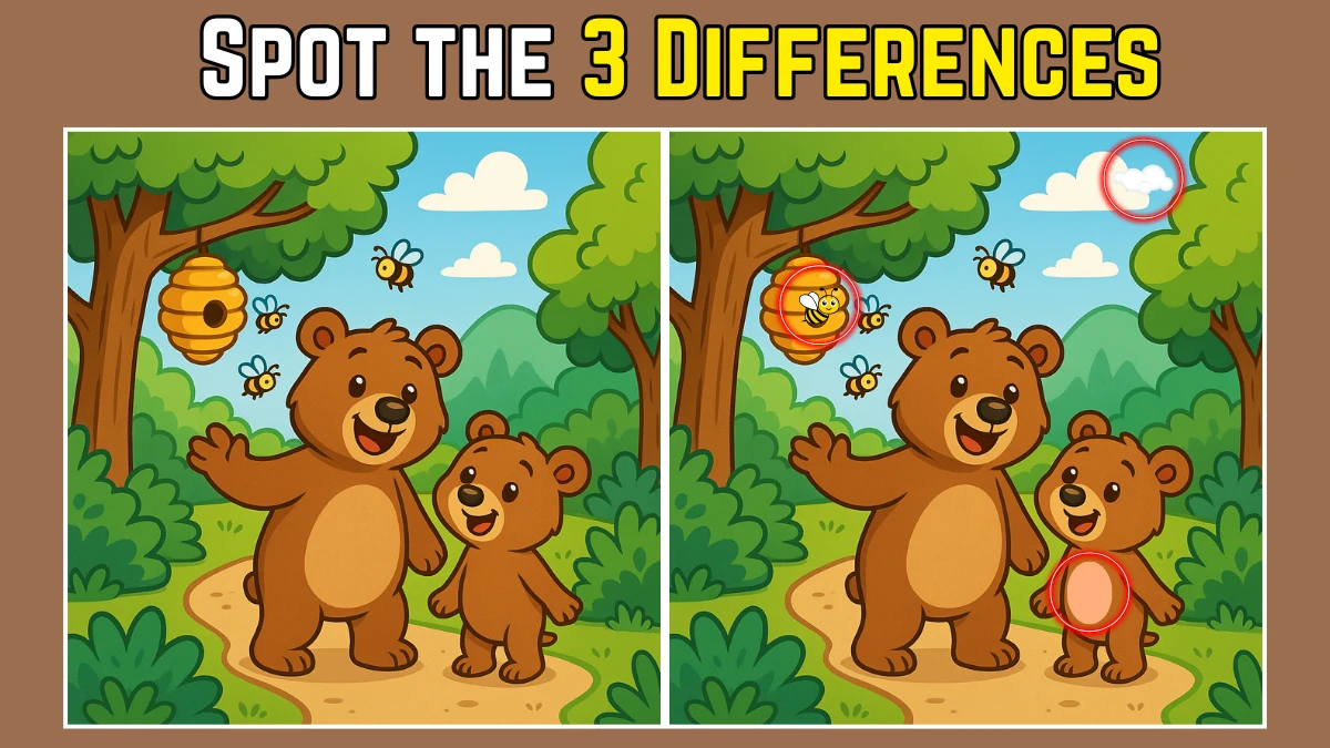 Spot the Difference: Within 9 Seconds Spot The 3 Differences in this Bear Image