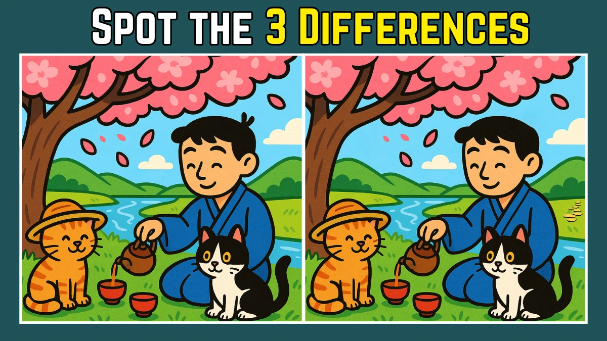 Spot the Difference: Within 9 Seconds Spot The 3 Differences in this Man Drinking Tea with Cats Image
