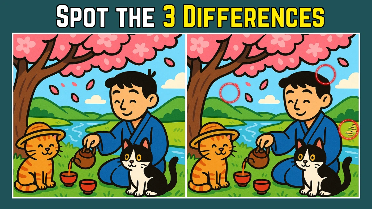 Spot the Difference: Within 9 Seconds Spot The 3 Differences in this Man Drinking Tea with Cats Image