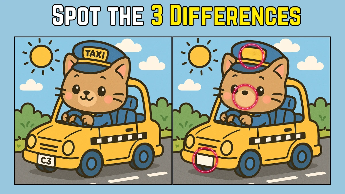 Spot the Difference: Within 9 Seconds Spot The 3 Differences in this Police Cat Image