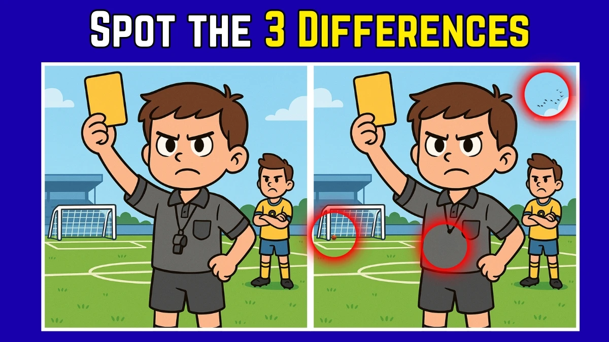 Spot the Difference: Within 9 Seconds Spot The 3 Differences in this Referee Image