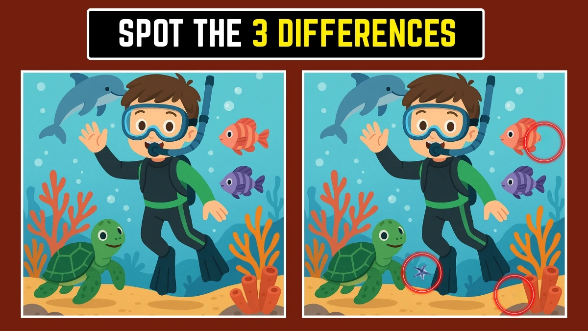 Spot the Differences Puzzles: Find the 3 Differences Fast