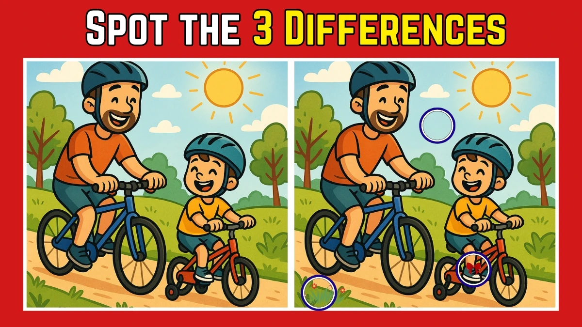 Spot the Differences: Spot the 3 Hidden Changes in the Dad and Son Bike Ride – Beat the Internet’s Fastest Visual Test!