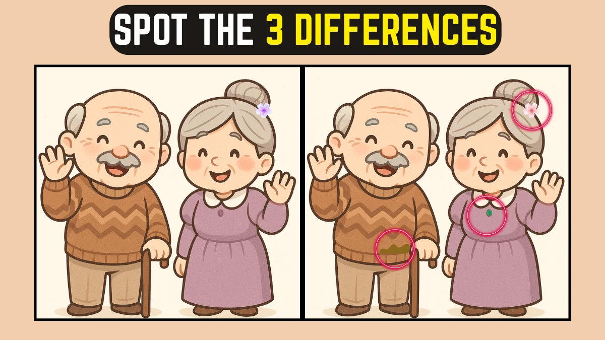 Time’s Ticking! Can You Find 3 Differences in This Old Couple Image?