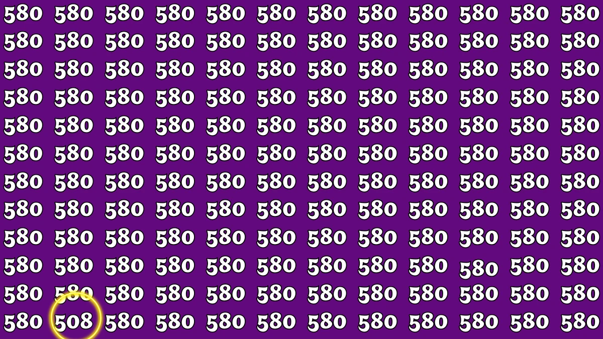 Using Your Hawk Eye Vision with 20/20 Eye-Sight Find the 508 Hidden Among 580s In 12 Seconds!