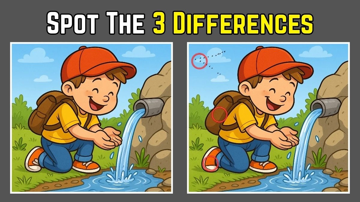 Spot The Difference: Can you spot 3 differences between the two pictures in 12 seconds?
