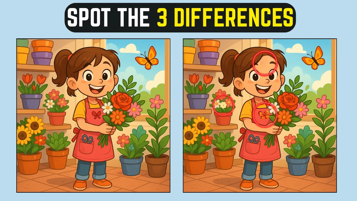 Can You Spot 3 Differences in the girl in flower shop Image in 12 Seconds?