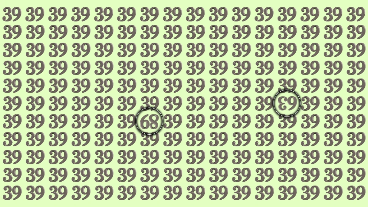 Optical Illusion: Within 10 Seconds Spot The 2 Inverted Numbers among 39s