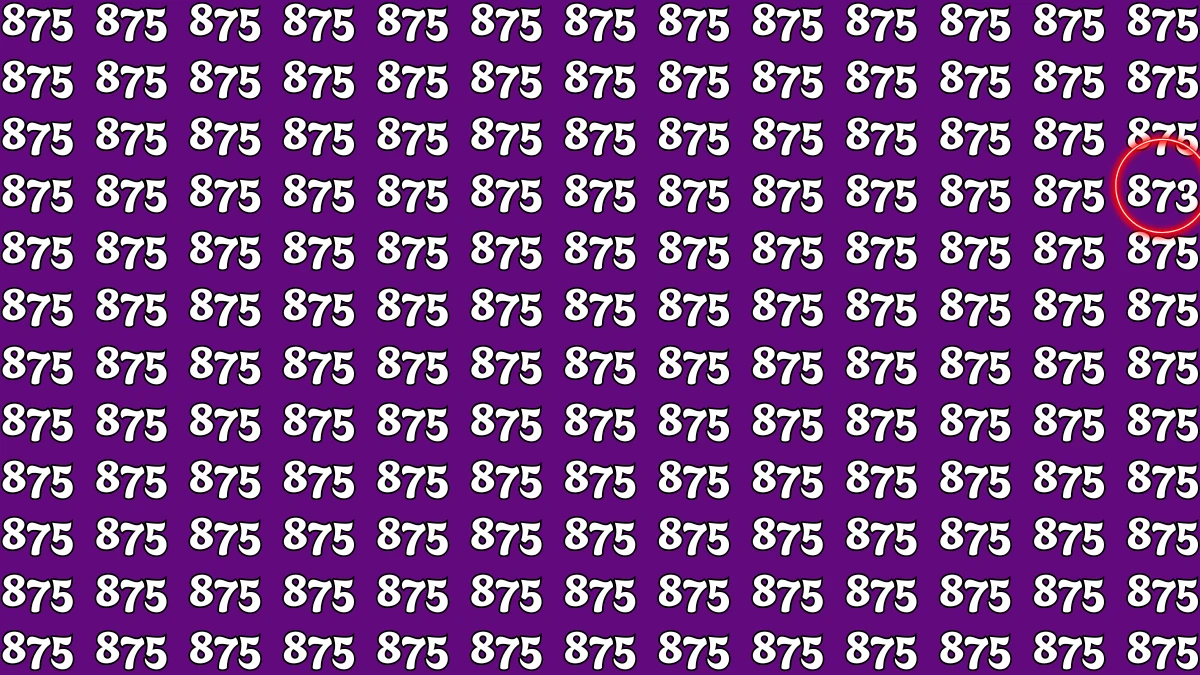 Optical Illusion 7 Seconds Test: Only People with Eagle Eyes Can spot the Number 873