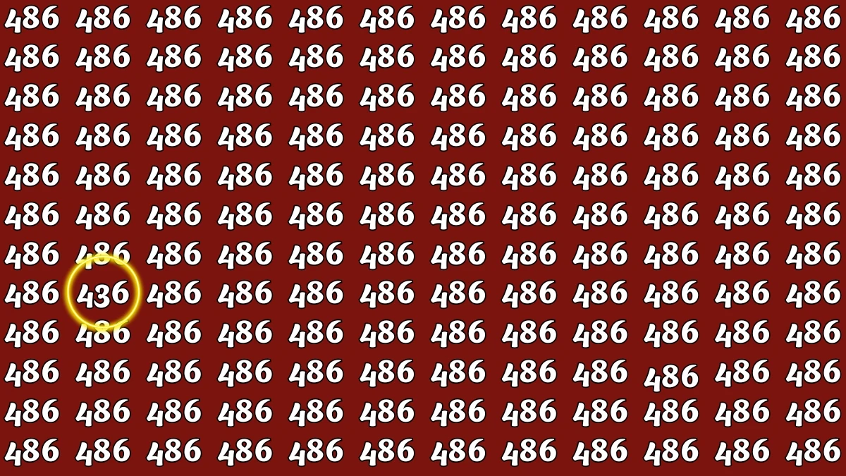 Optical Illusion 8 Seconds Challenge: Only People with Eagle Eyes Can spot the Number 436